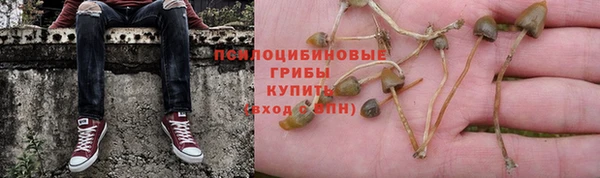 гашик Алзамай