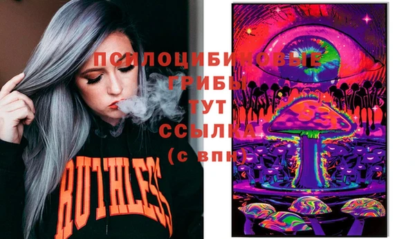 гашик Алзамай