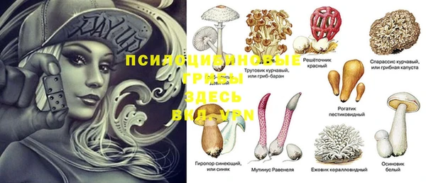 марки lsd Бежецк