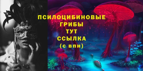 гашик Алзамай